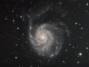 M101