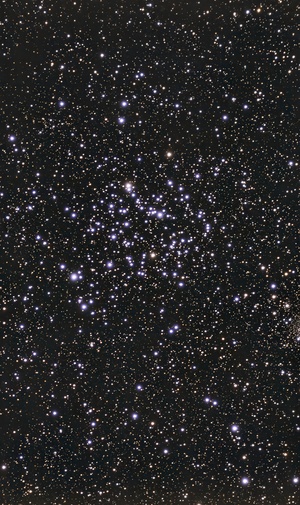 M35