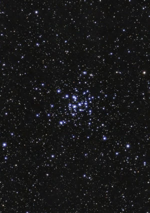 M36