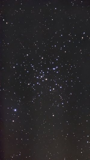 M41
