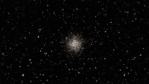 M55