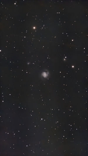 M61