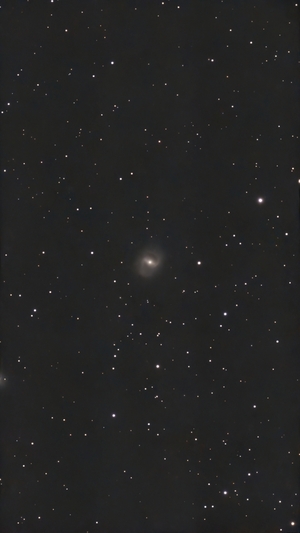 M91