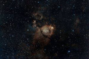 The Fish Head Nebula