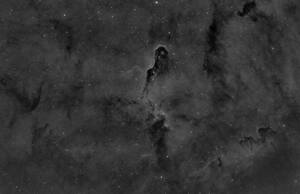 IC1396 - The Elephant's Trunk Nebula