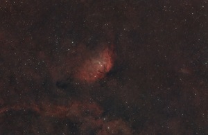The Tulip Nebula